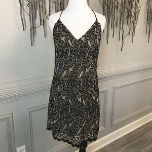 NWT! Lavender Brown Mini Dress CLOSET CLOSING!